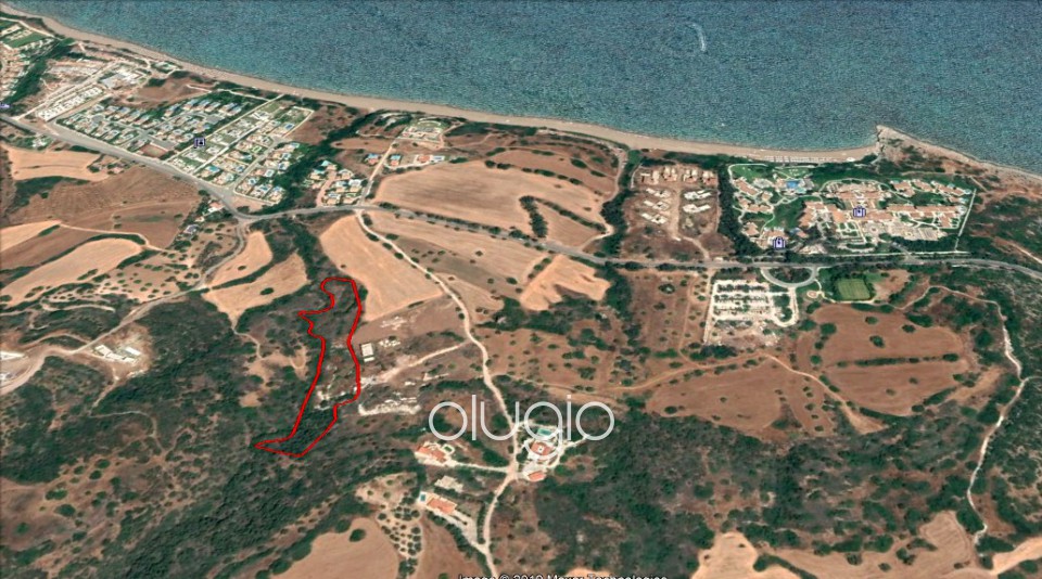 Agricultural Land For Sale  in  Latchi