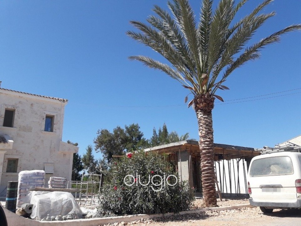 Detached Villa For Sale  in  Coral Bay