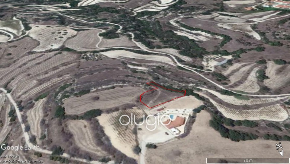 Agricultural Land For Sale  in  Polemi