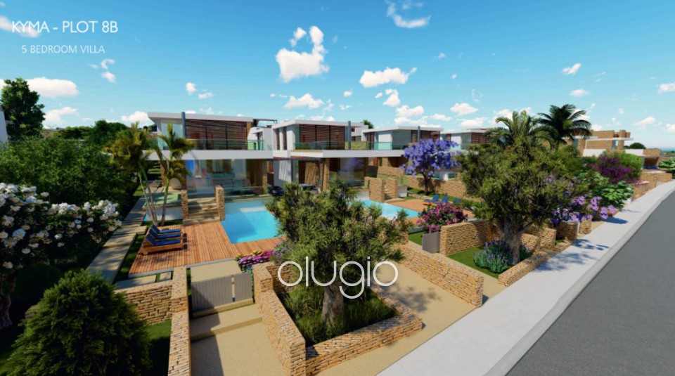 Detached Villa For Sale  in  Chloraka