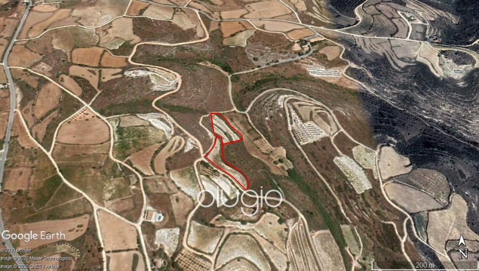Agricultural Land For Sale  in  Pano Arodes