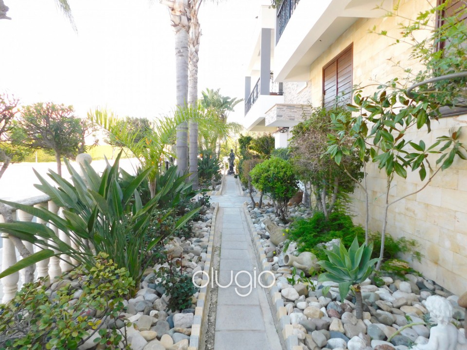 Detached Villa For Sale  in  Mesoyi