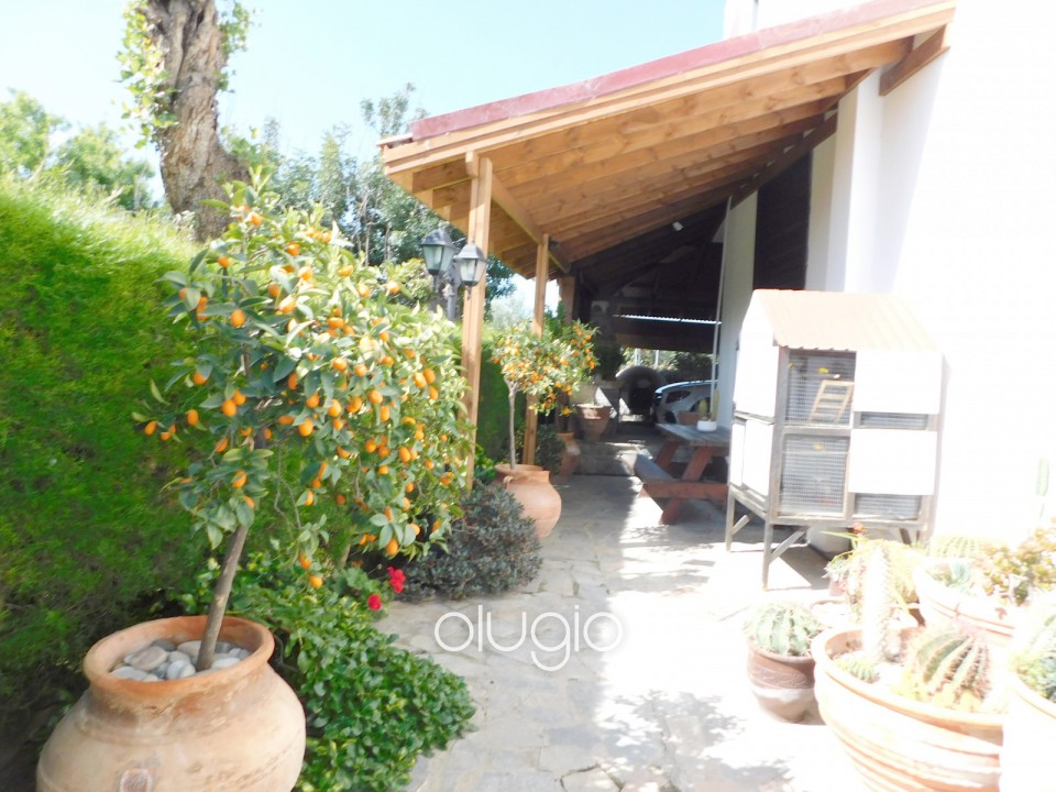 Detached Villa For Sale  in  Mesoyi