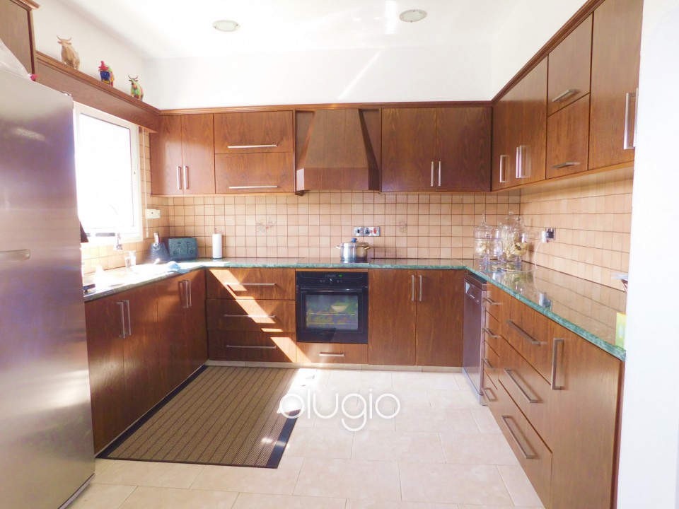 Detached Villa For Sale  in  Mesoyi