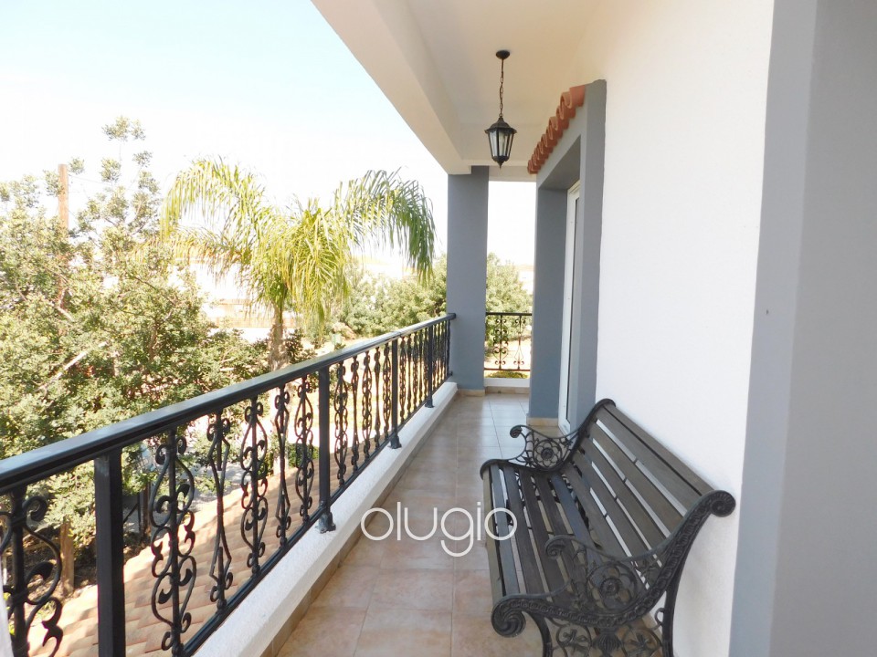Detached Villa For Sale  in  Mesoyi