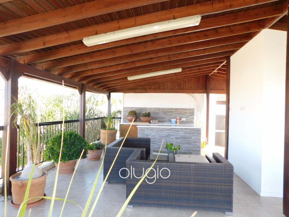 Detached Villa For Sale  in  Mesoyi
