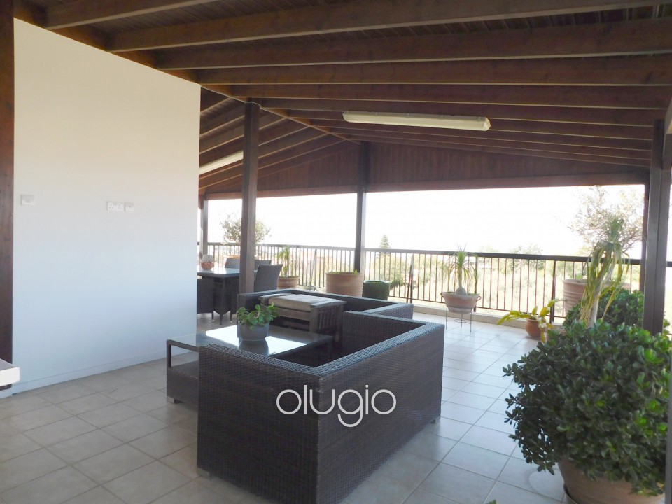 Detached Villa For Sale  in  Mesoyi