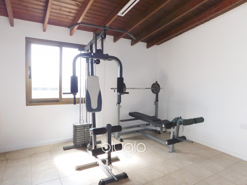 Detached Villa For Sale  in  Mesoyi