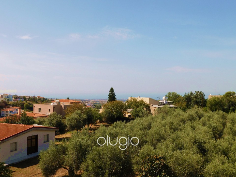 Detached Villa For Sale  in  Mesoyi