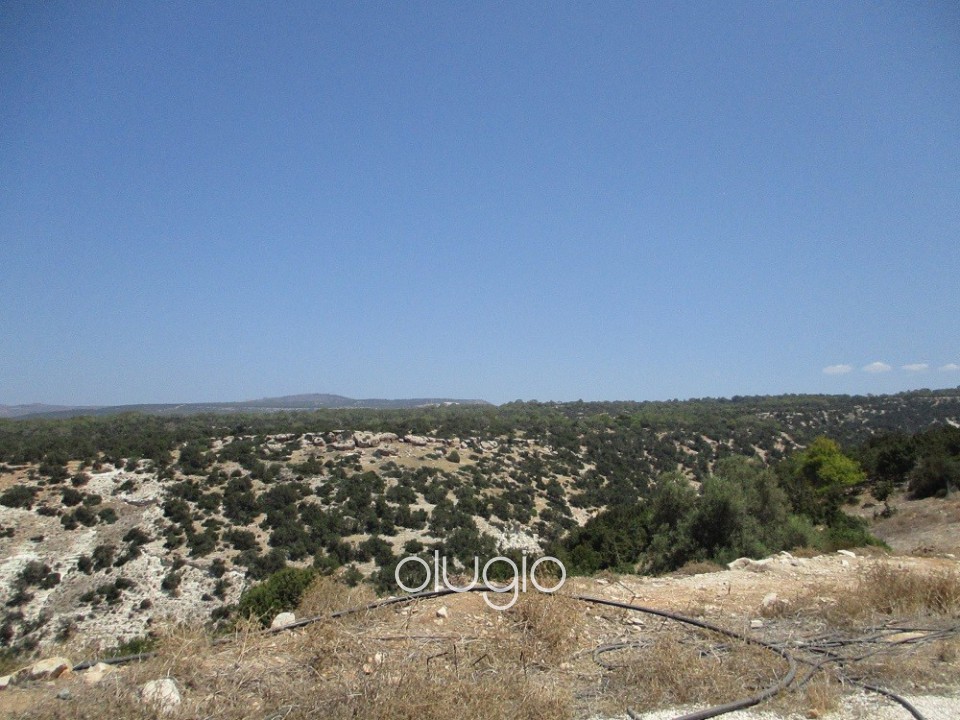 Detached Villa For Sale  in  Peyia