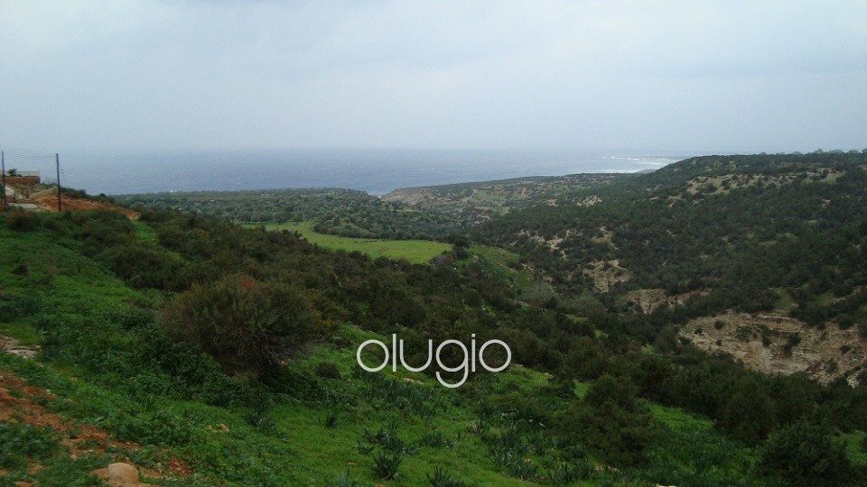 Detached Villa For Sale  in  Peyia