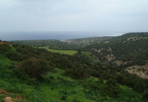 Detached Villa For Sale  in  Peyia