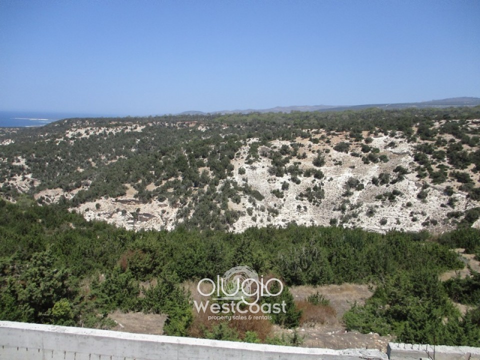 Detached Villa For Sale  in  Peyia