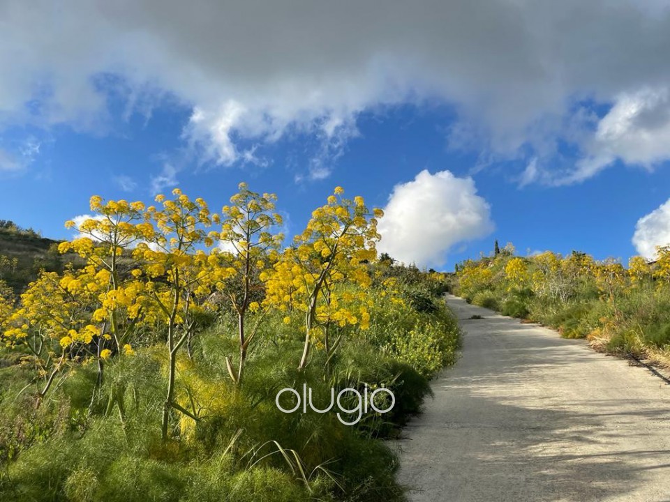 Bungalow For Sale  in  Armou