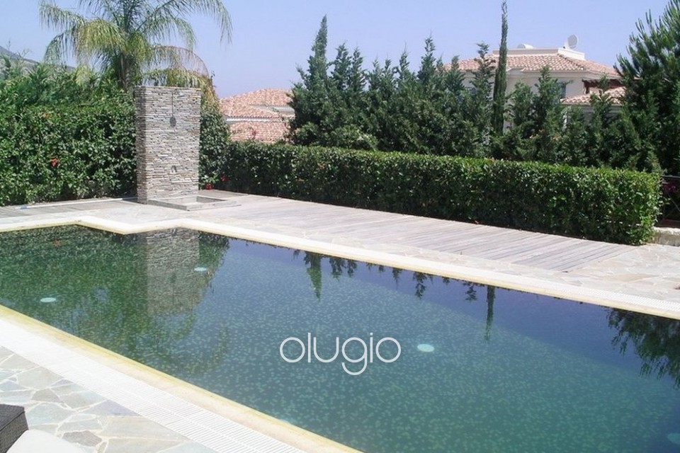 Detached Villa For Sale  in  Neo Chorio