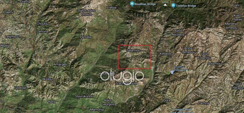 Agricultural Land For Sale  in  Salamiou