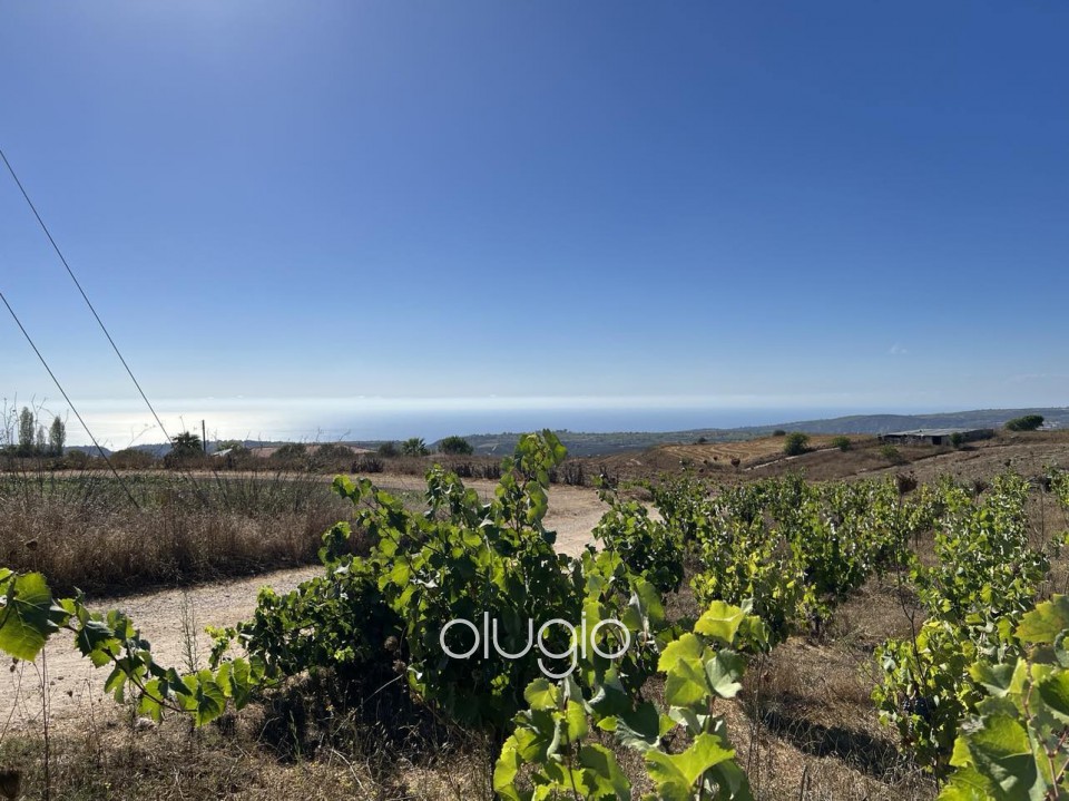 Residential Land  For Sale  in  Kathikas