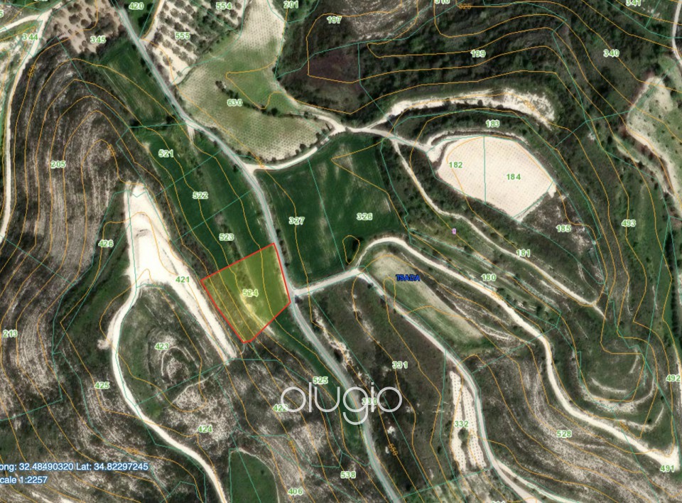 Agricultural Land For Sale  in  Tsada