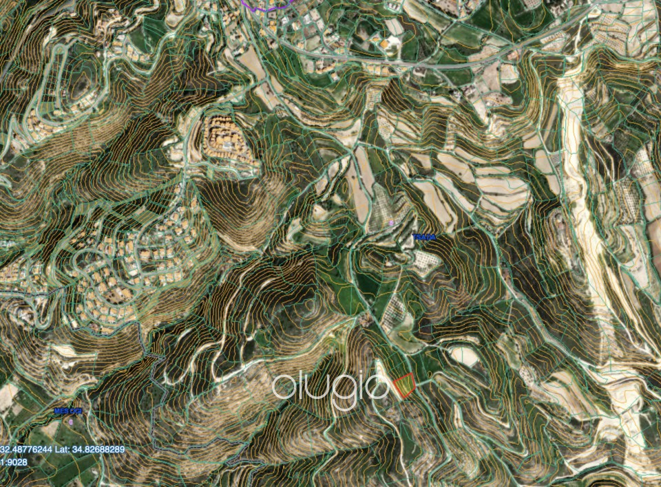 Agricultural Land For Sale  in  Tsada