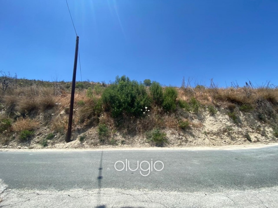 Agricultural Land For Sale  in  Tsada