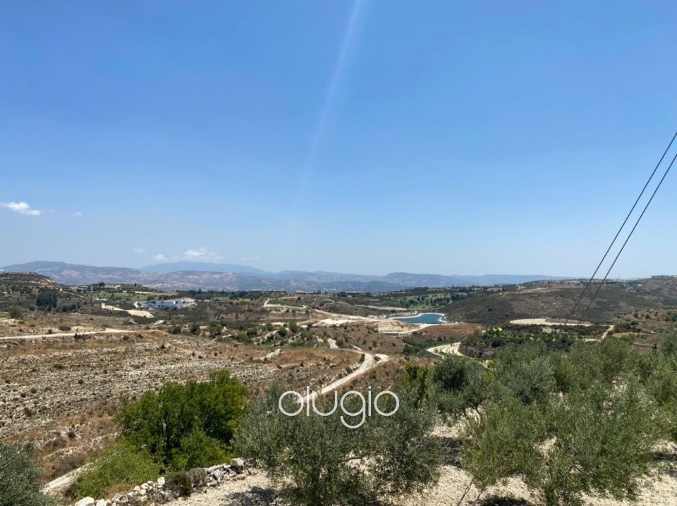 Agricultural Land For Sale  in  Tsada