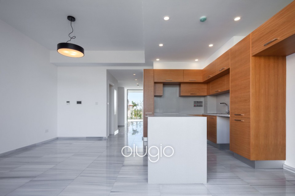 Detached Villa For Sale  in  Exo Vrisi