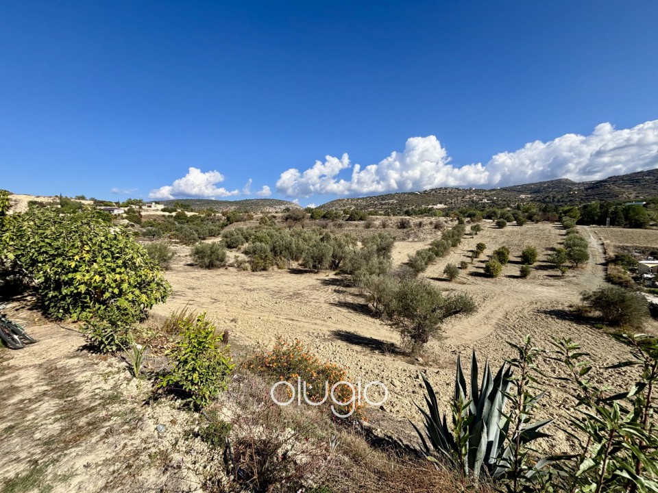 Detached Villa For Sale  in  Peristerona