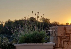 Bungalow For Sale in Tsada