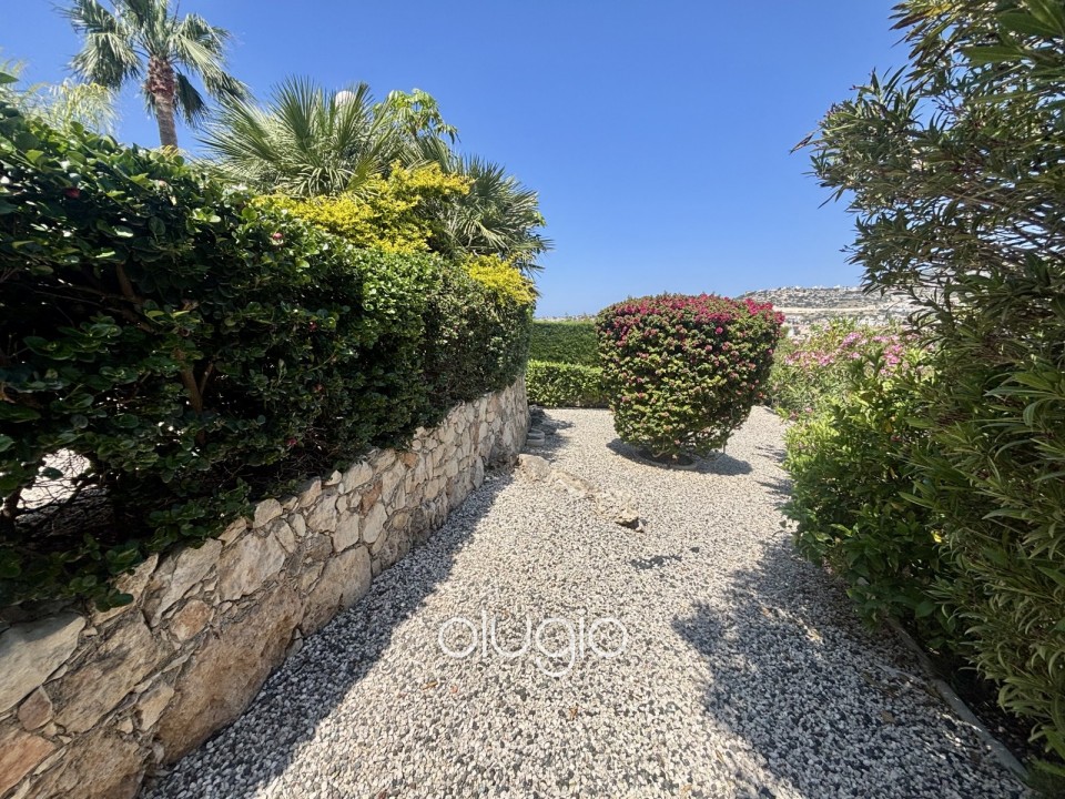 Apartment For Sale in Peyia