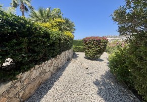 Apartment For Sale in Peyia