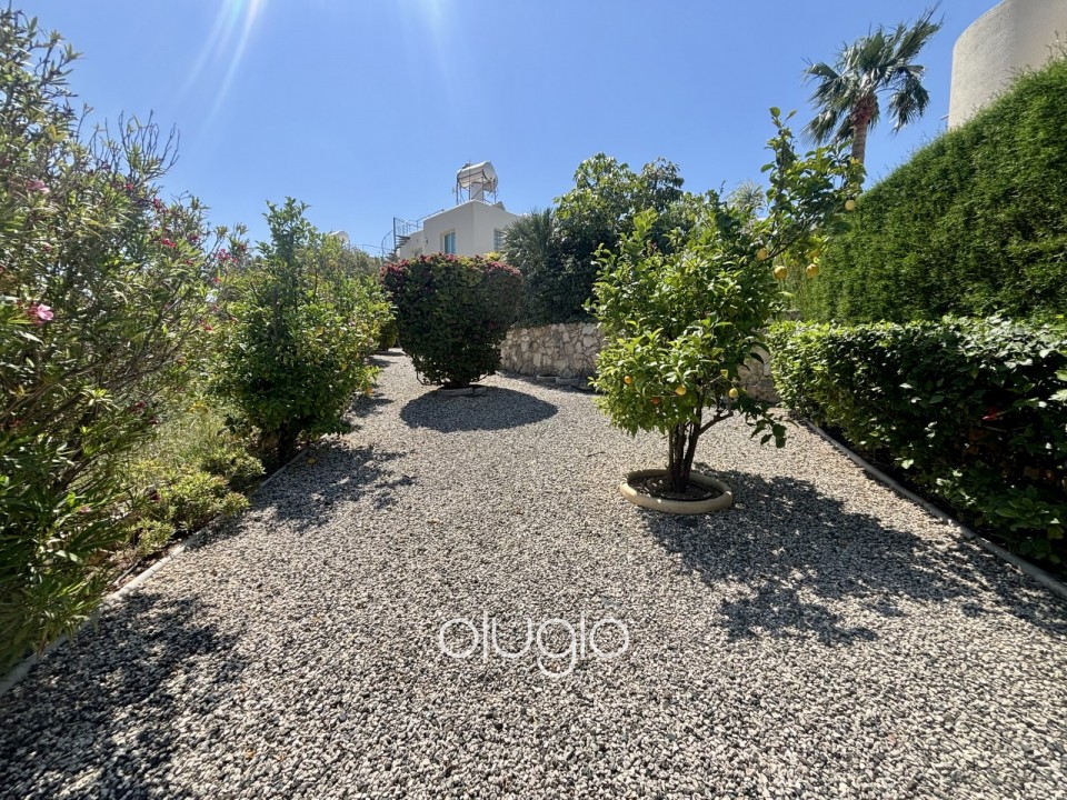 Apartment For Sale in Peyia
