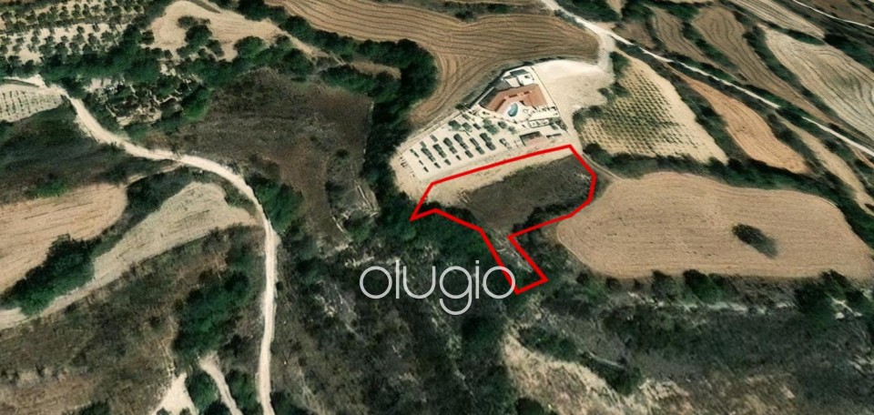 Agricultural Land For Sale in Polemi