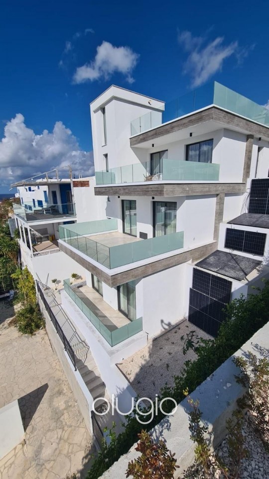 Detached Villa For Rent in Chloraka