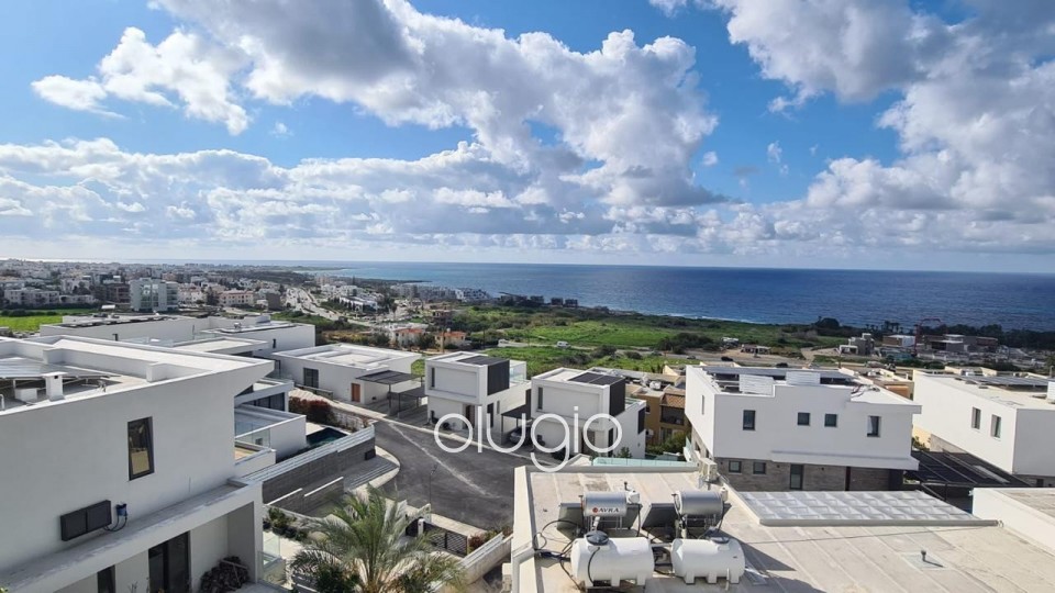 Detached Villa For Rent in Chloraka