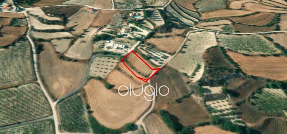 Agricultural Land For Sale in Polemi