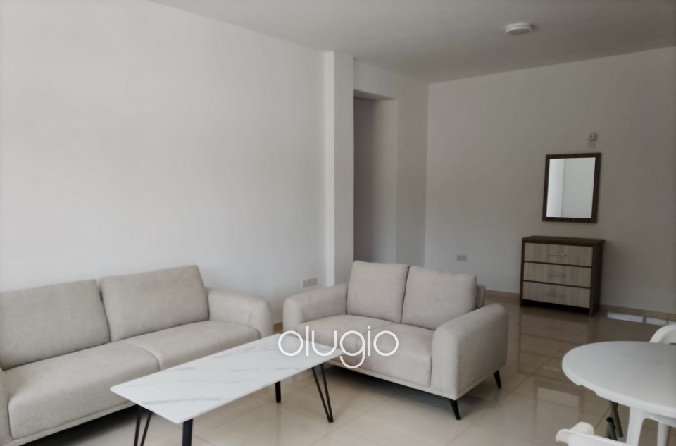 Apartment For Sale in Mesoyi