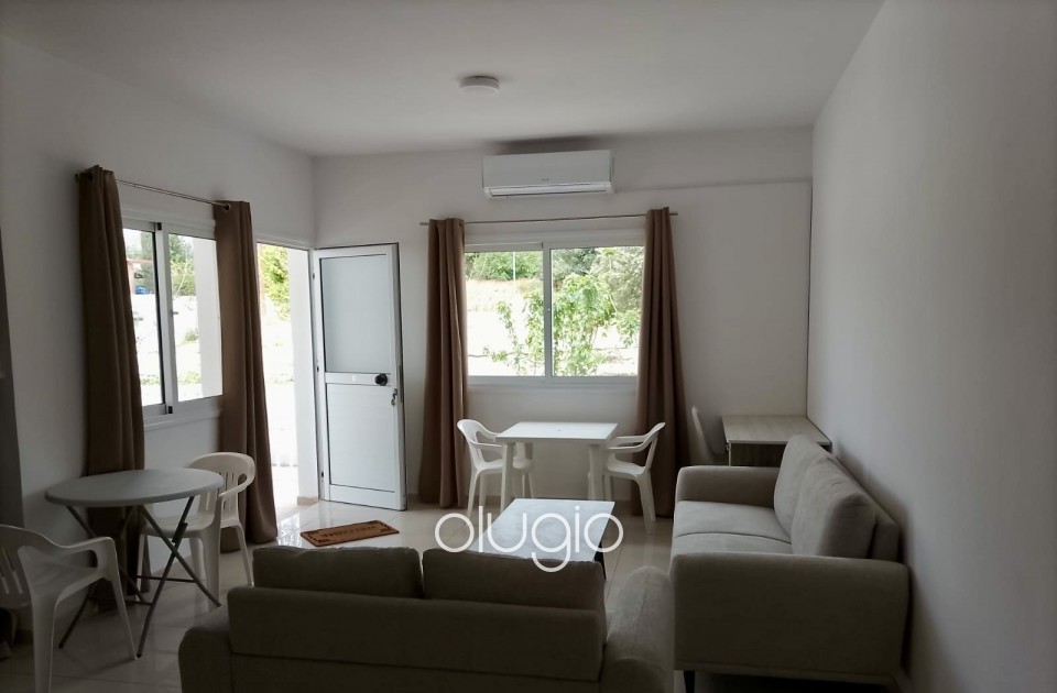 Apartment For Sale in Mesoyi