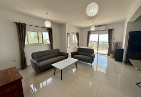 Apartment For Sale  in  Mesoyi
