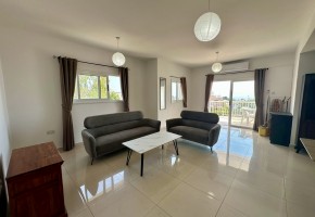Apartment For Sale  in  Mesoyi