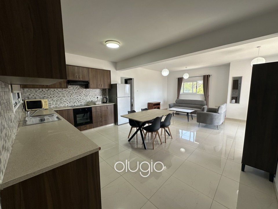 Apartment For Rent in Mesoyi