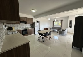 Apartment For Rent in Mesoyi