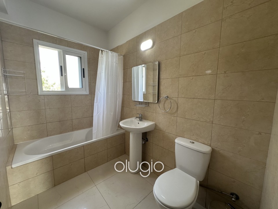 Apartment For Rent in Mesoyi
