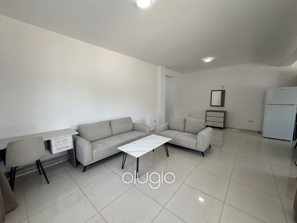 Apartment For Rent in Mesoyi