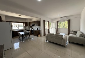 Apartment For Rent in Mesoyi