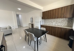 Apartment For Rent in Mesoyi
