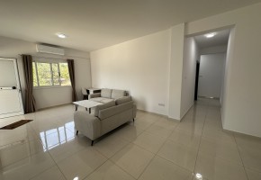 Apartment For Rent in Mesoyi