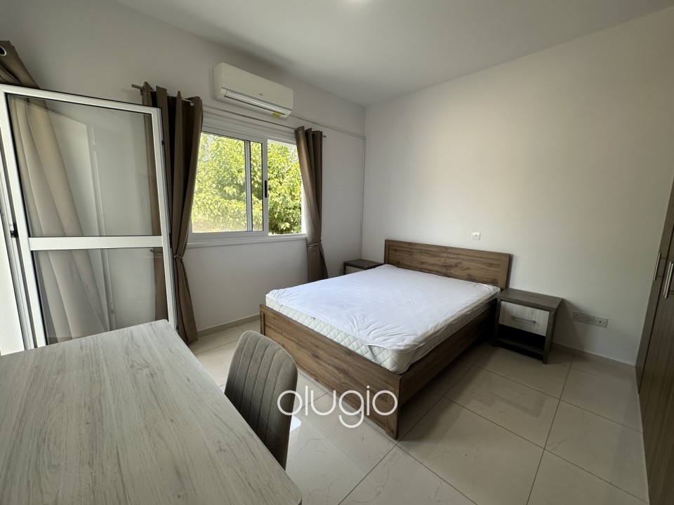 Apartment For Rent in Mesoyi