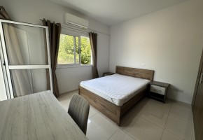 Apartment For Rent in Mesoyi