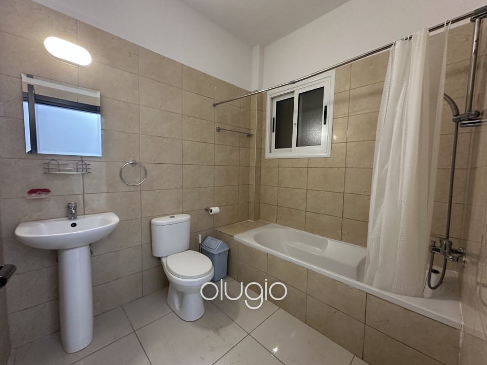 Apartment For Rent in Mesoyi