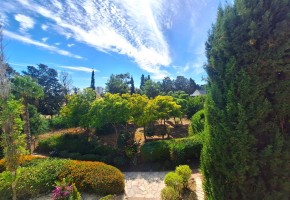 Apartment For Sale in Universal